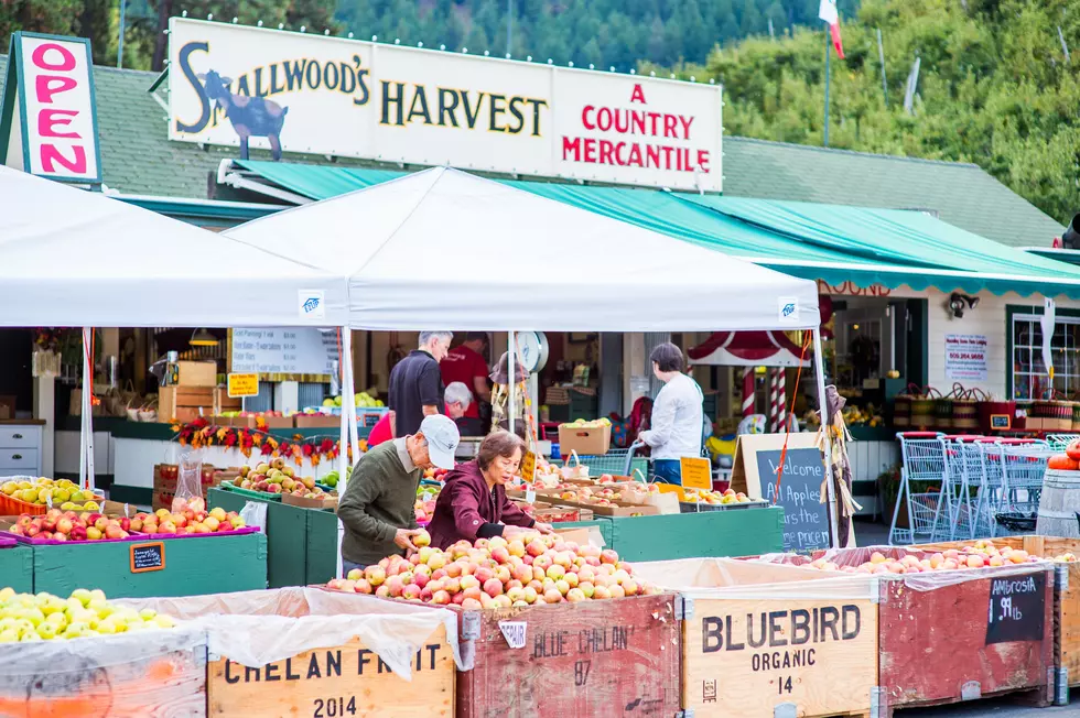 Tri-Cities to Lake Chelan: 6 Fall Getaways You'll Love