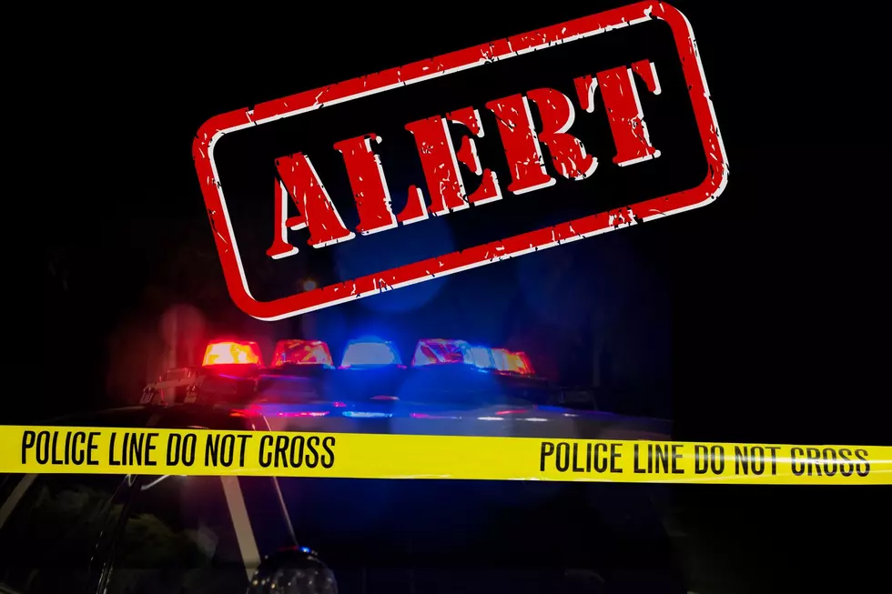 Two Umatilla County Log Truck Drivers Killed in Highway 204 Crash