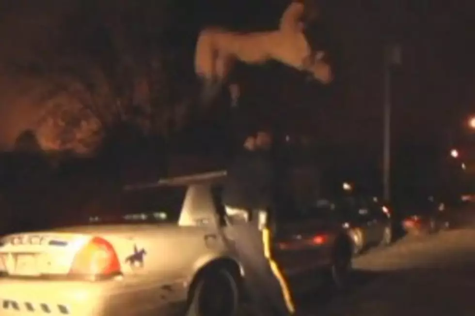 Meanwhile in Canada: Drunk Guy Backflips Over Cop [VIDEO]