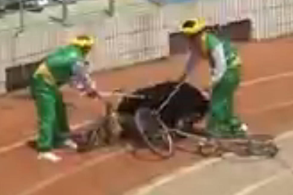 A Bear and Monkey on Bikes at Shanghai Wild Animal Park Ends in Worst Way Possible [VIDEO]