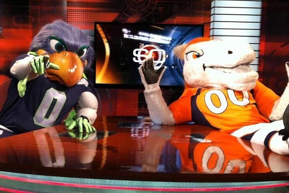 The Broncos and Seahawks Mascots Can’t Get Along [VIDEO]