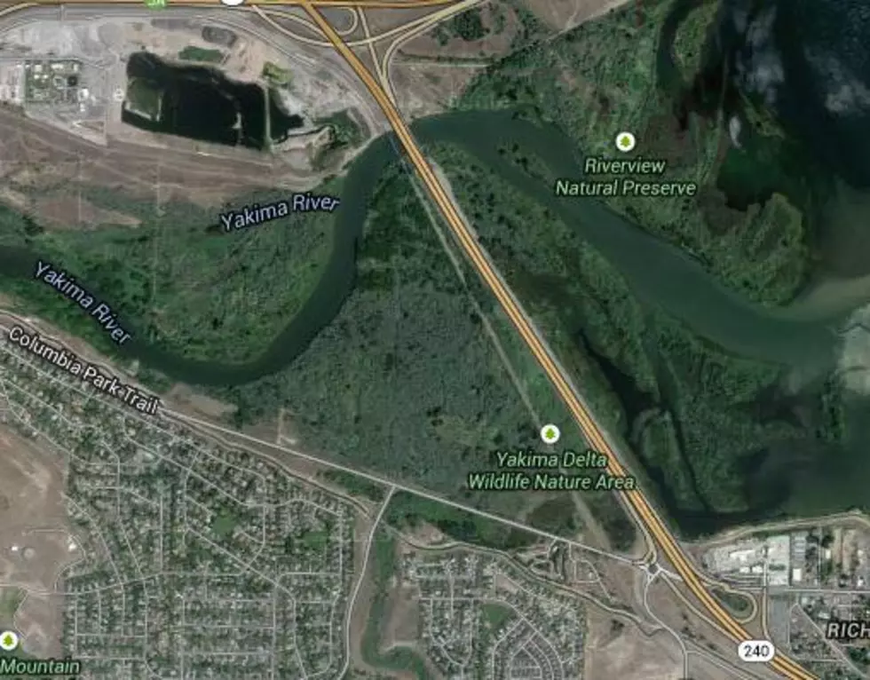 Via Google Maps