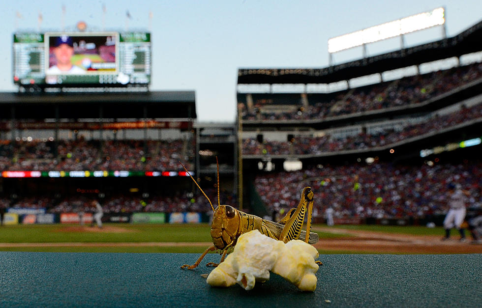 Grasshoppers All The Rage at the Seattle Mariners