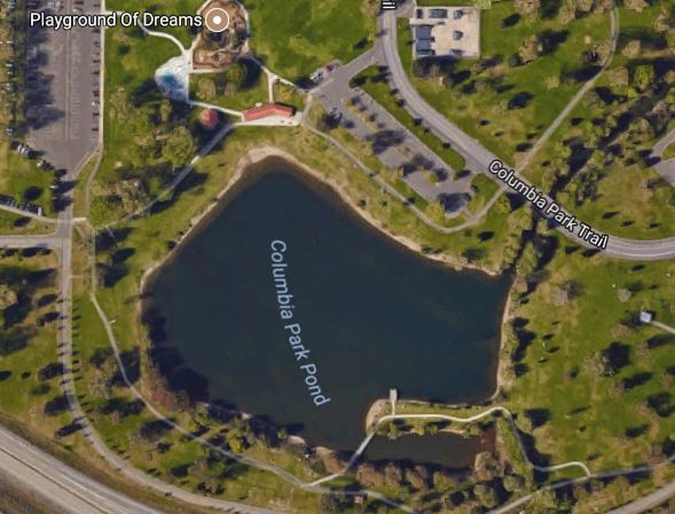 How Can Kennewick Improve Columbia Park&#8217;s Pond? [SURVEY]