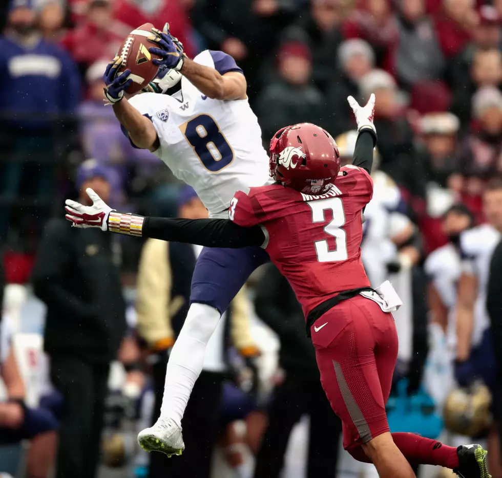 Apple Cup Smack – Trot Out Your Best Cougar and Husky Jokes