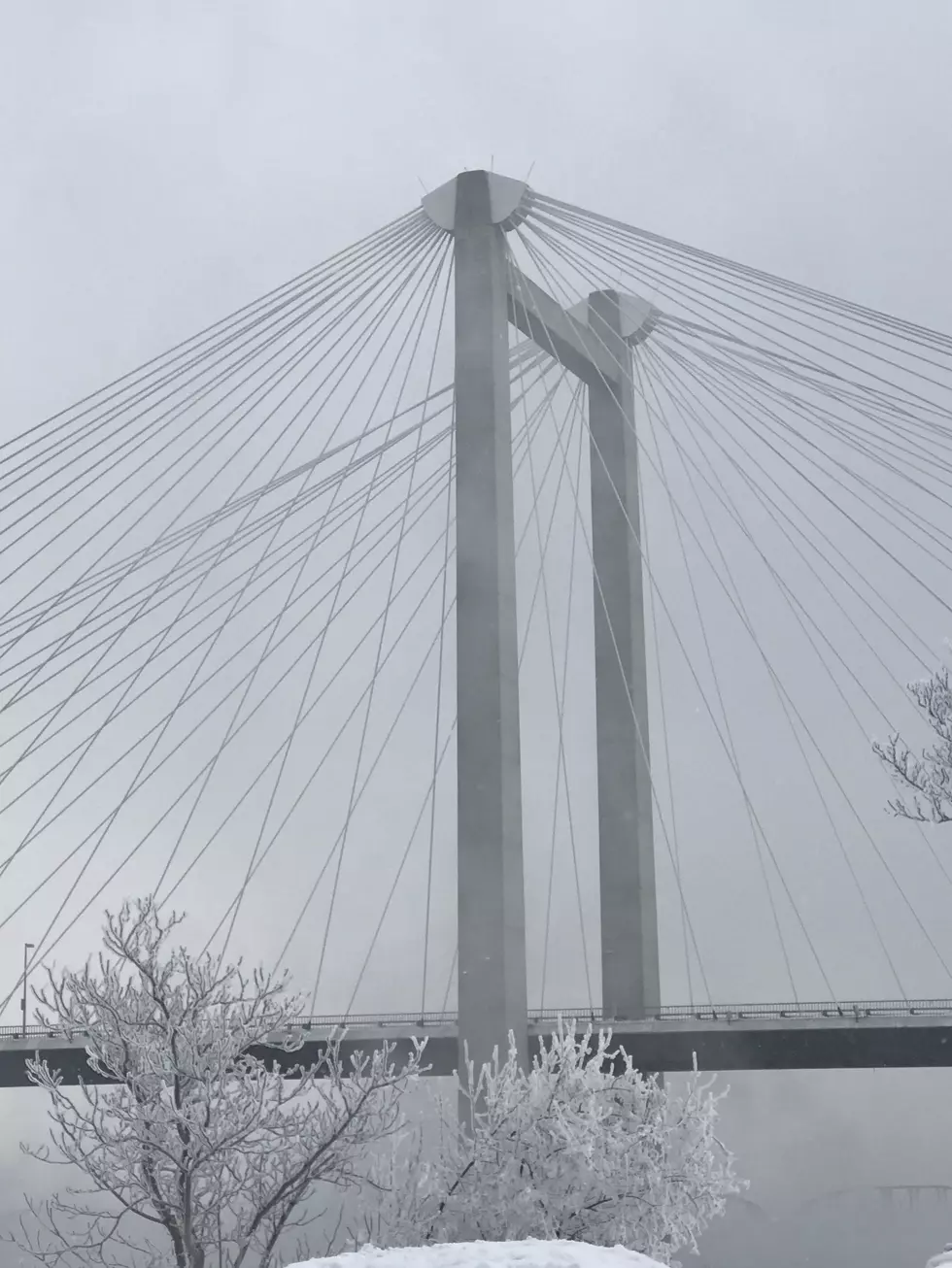 Human Trafficking Walk Over the Cable Bridge is This Friday January 11