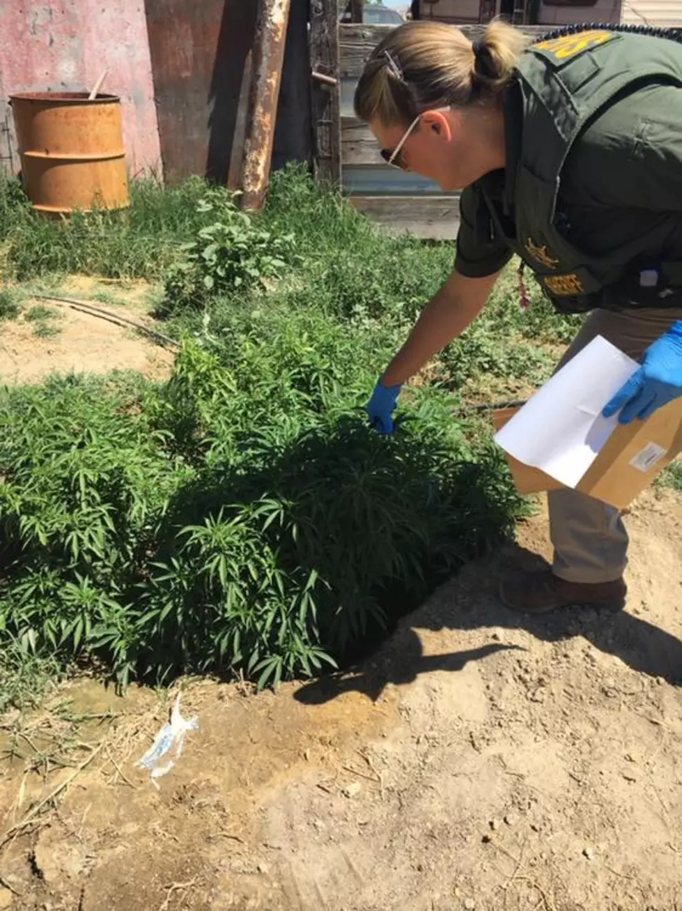 Cops are Rockin&#8217; and Knockin&#8217; on Reefer&#8217;s Next Door