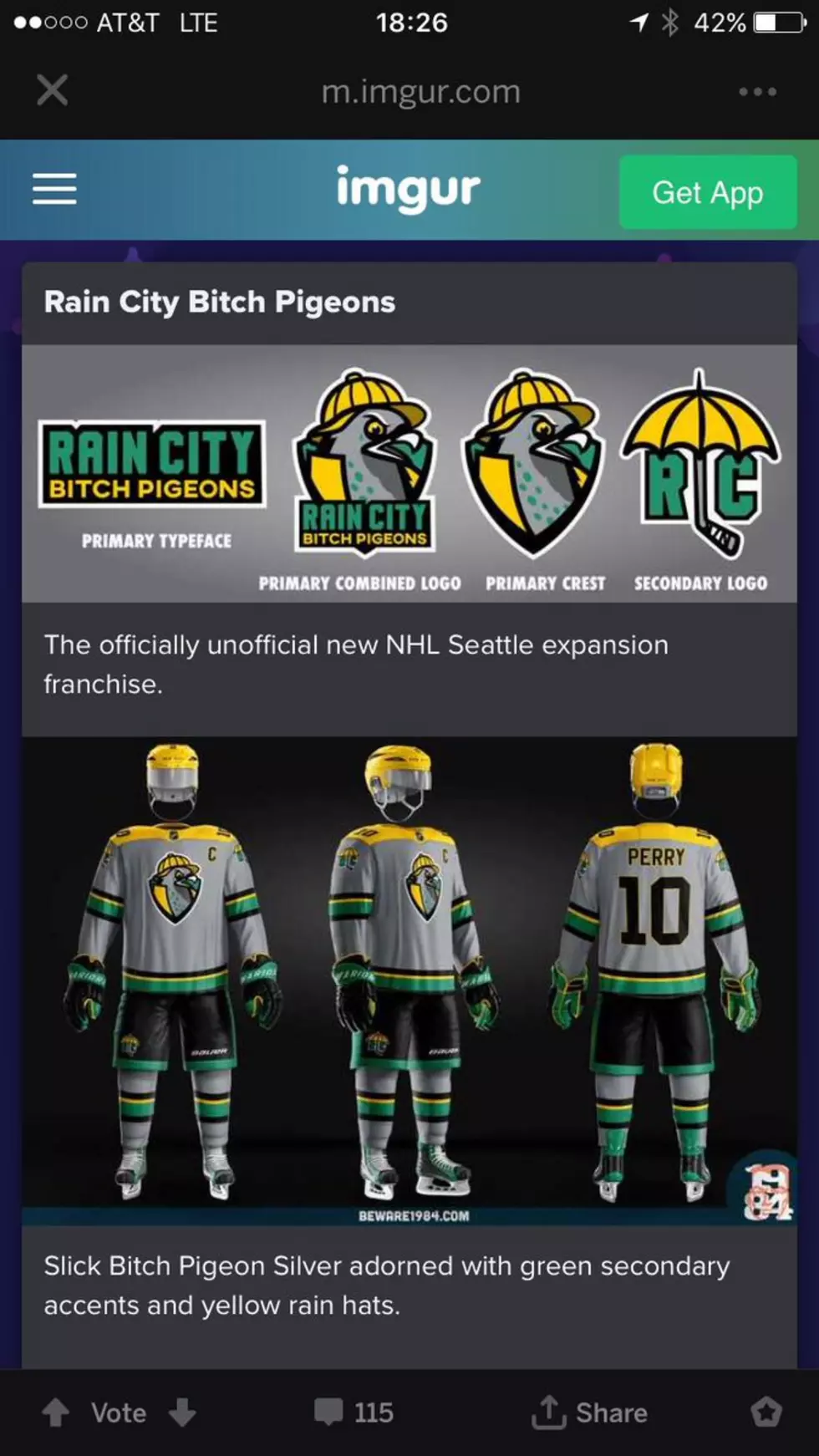 Rain City Bitch Pigeons