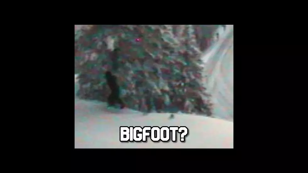 Was Bigfoot Spotted on WA Highway?