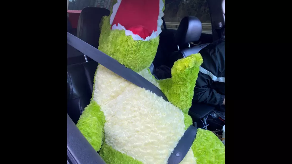 WA Driver Busted for Using Stuffed Dino in Carpool Lane