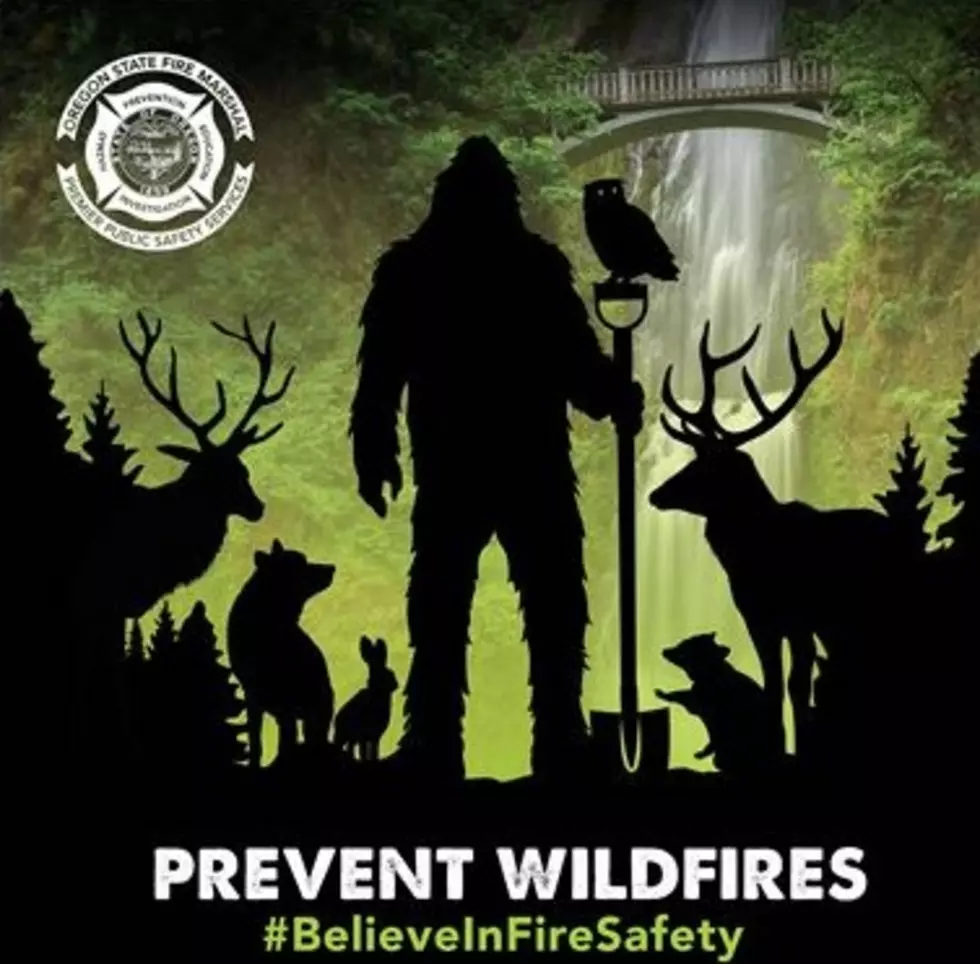 Sasquatch Watch: Bigfoot Found on Oregon Fire Safety Billboards