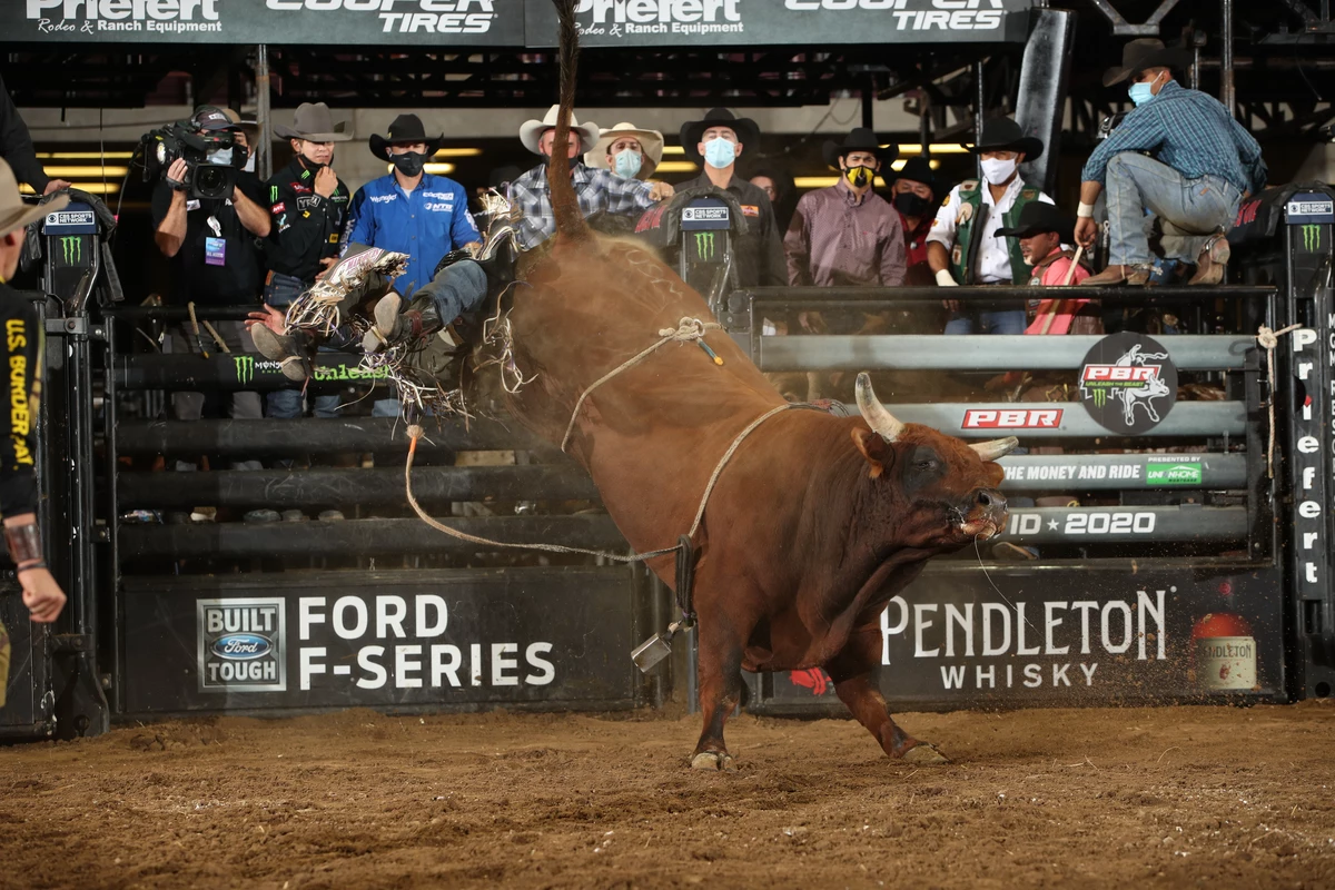 The Bulls#!+ in Prosser is Some of the World's Bucking Best