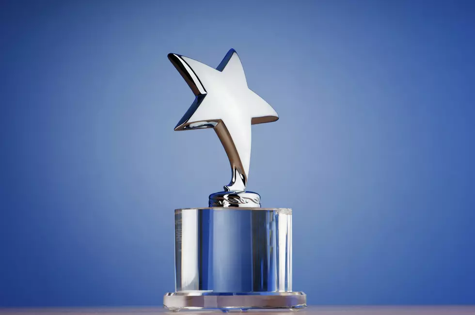 2020 Richland Art Commission STAR Award Winners Announced