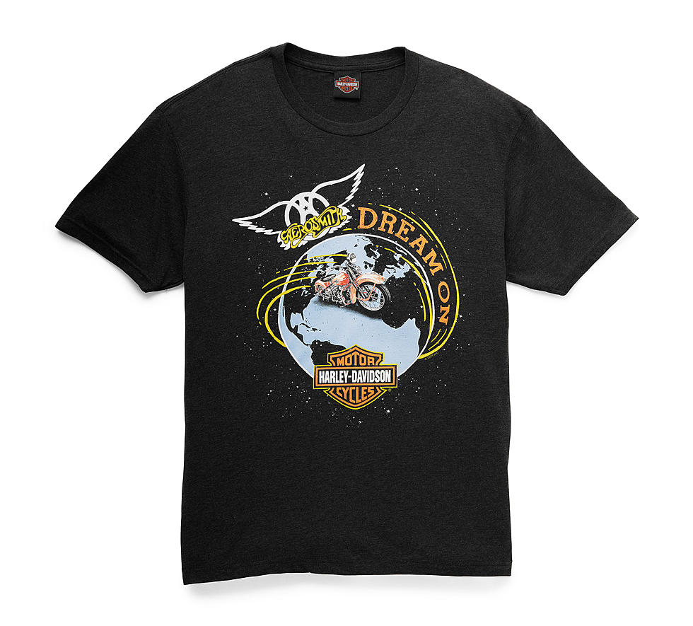 Kennewick Rattlesnake Mountain Harley Davidson&#8217;s Aerosmith Dream