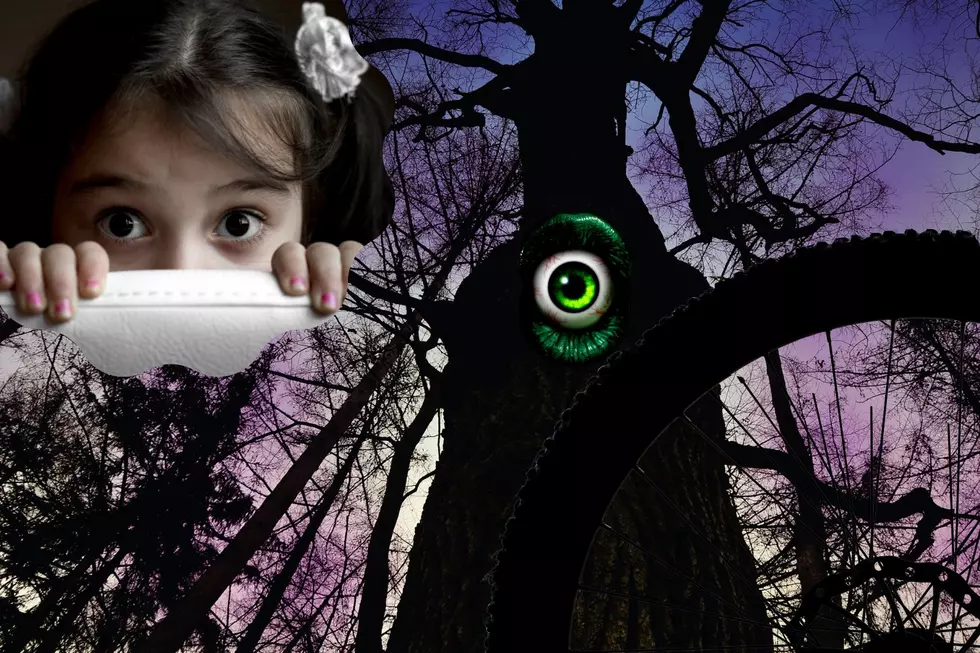 See Hidden Bike Eating Tree That Inspired Beloved Children&#8217;s Book