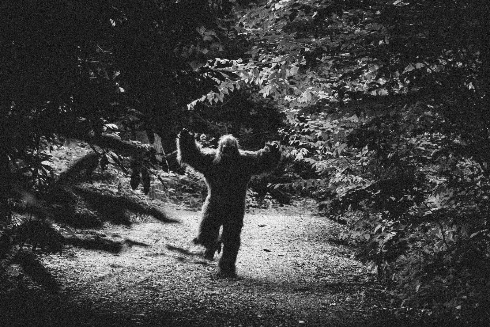 5 Times Bigfoot Was Seen Recently In Washington State