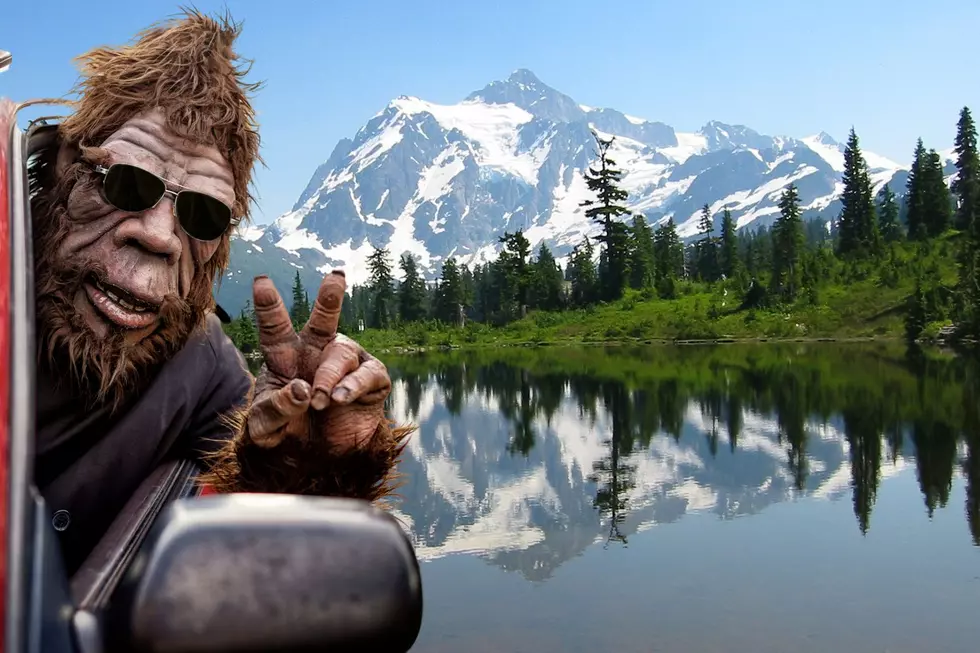 5 Times Bigfoot Was Seen Recently In Washington State