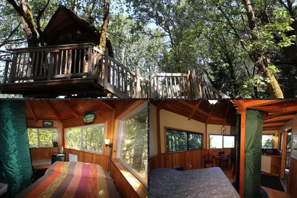 You Can Stay in One of FIFTEEN Treehouses in Cave Junction, Oregon
