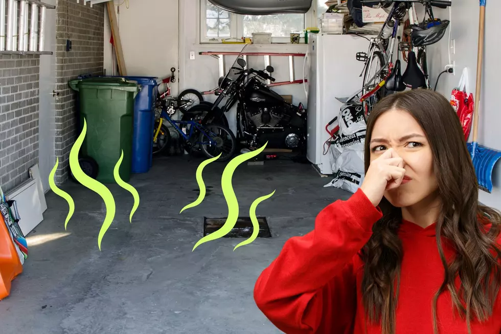 Strange Cucumber Smell In Your Tri-Cities Garage? Back Away!