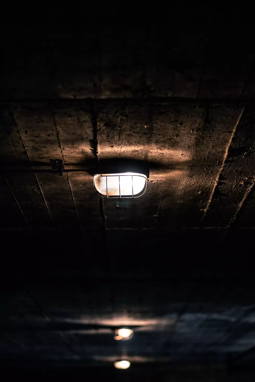 Photo by Leon Seibert on Unsplash