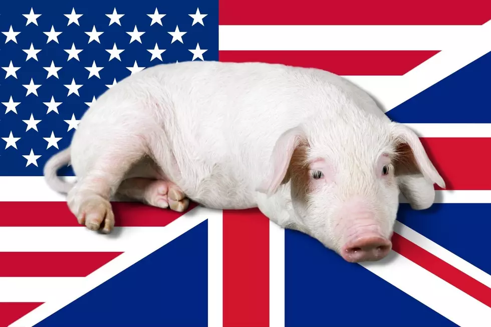 Pig War of 1859 Saw England and America Fight Over Washington