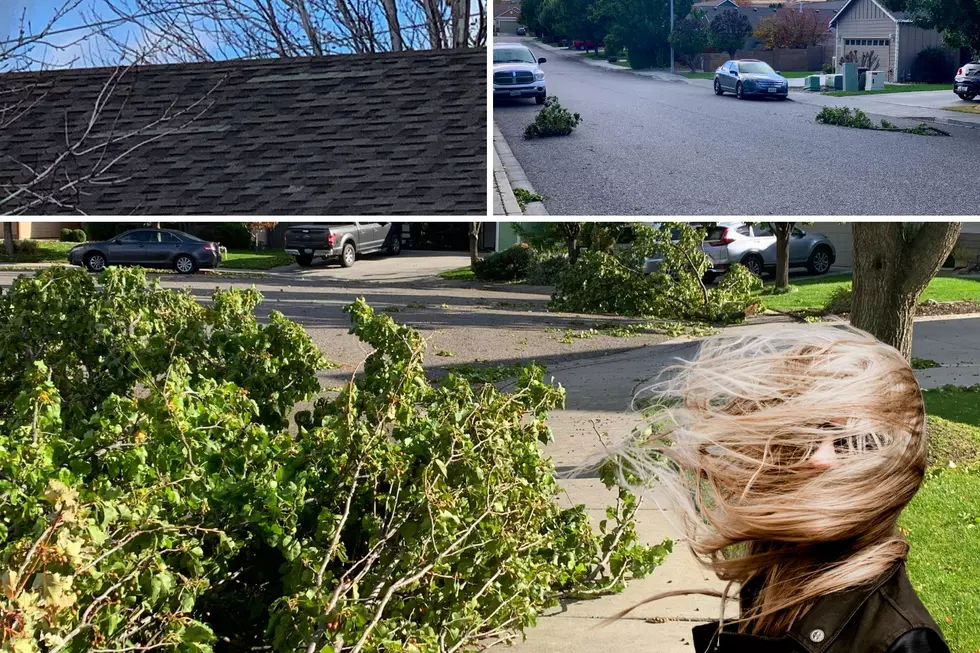 Tri-Cities Washington Cleans Up After 105mph Windstorm