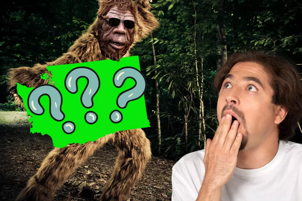 Staying Near This Famous WA Town is the Easiest Way to Spot Bigfoot