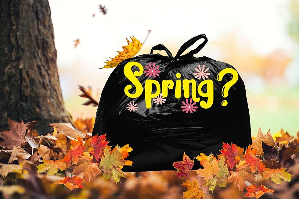 Will Tri-Cities Garbage Pick Up Extra Bags of Leaves This Spring?