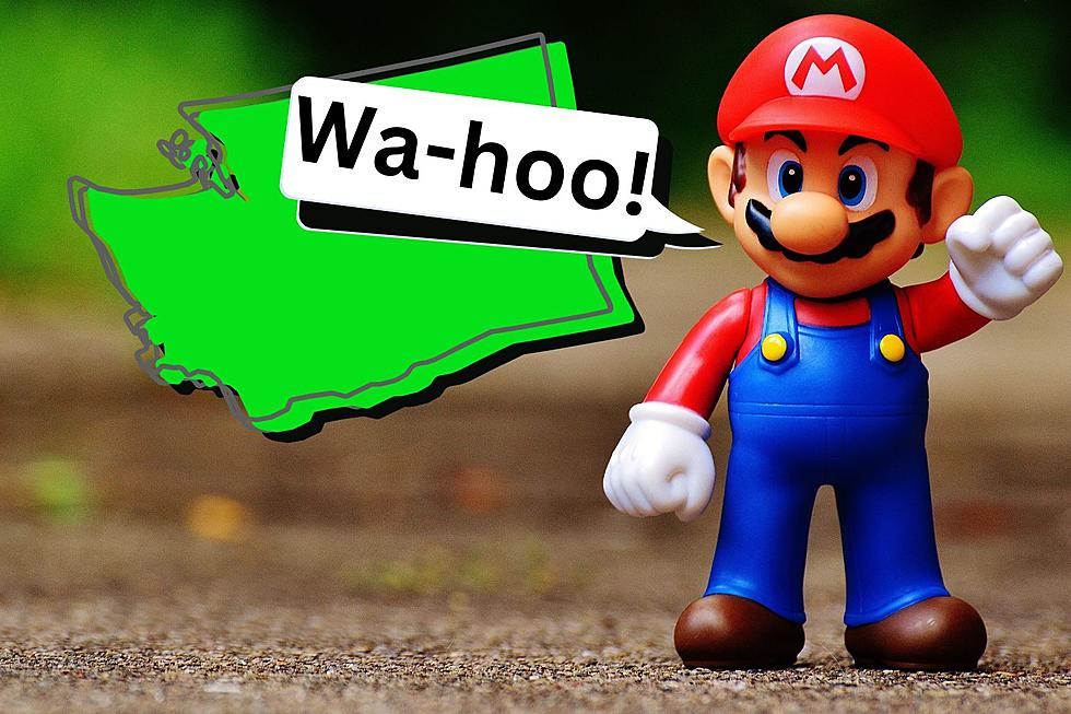 This Fact Linking Mario Bros to Washington Will Make You Say WA-hoo!