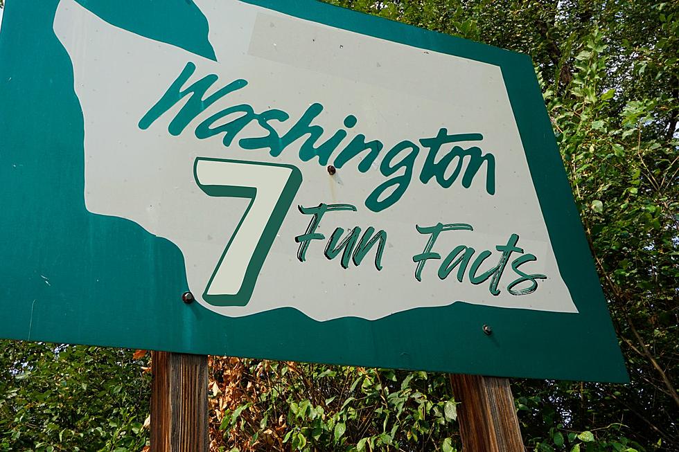 7 Surprising Fun Facts About Washington State You Might Not Know