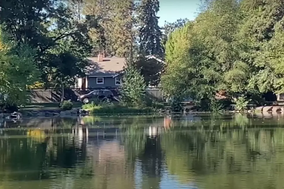 credit YouTube @abcvnwashingtondiscover331