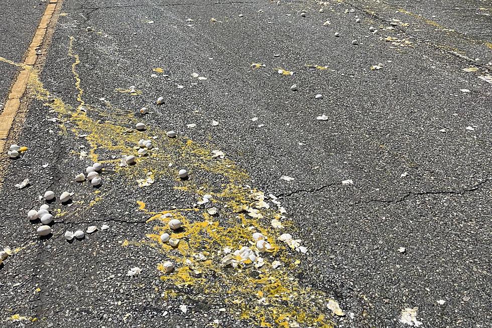 Eggs-ploding Mess Answers If Eggs Can Cook on Washington Highways