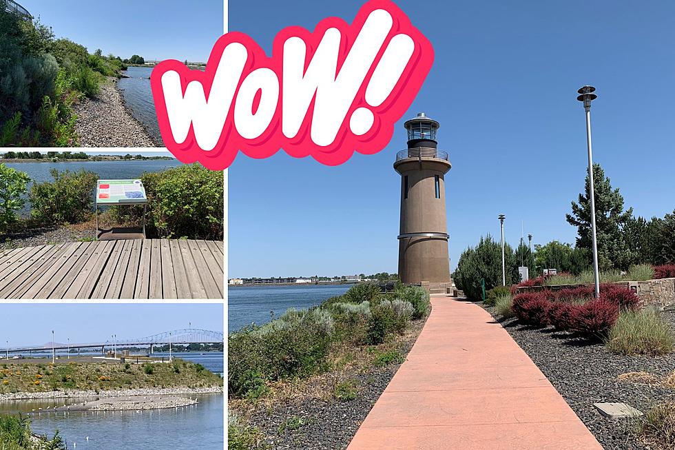 See What the $4 Million Clover Island Restoration Looks Like Now