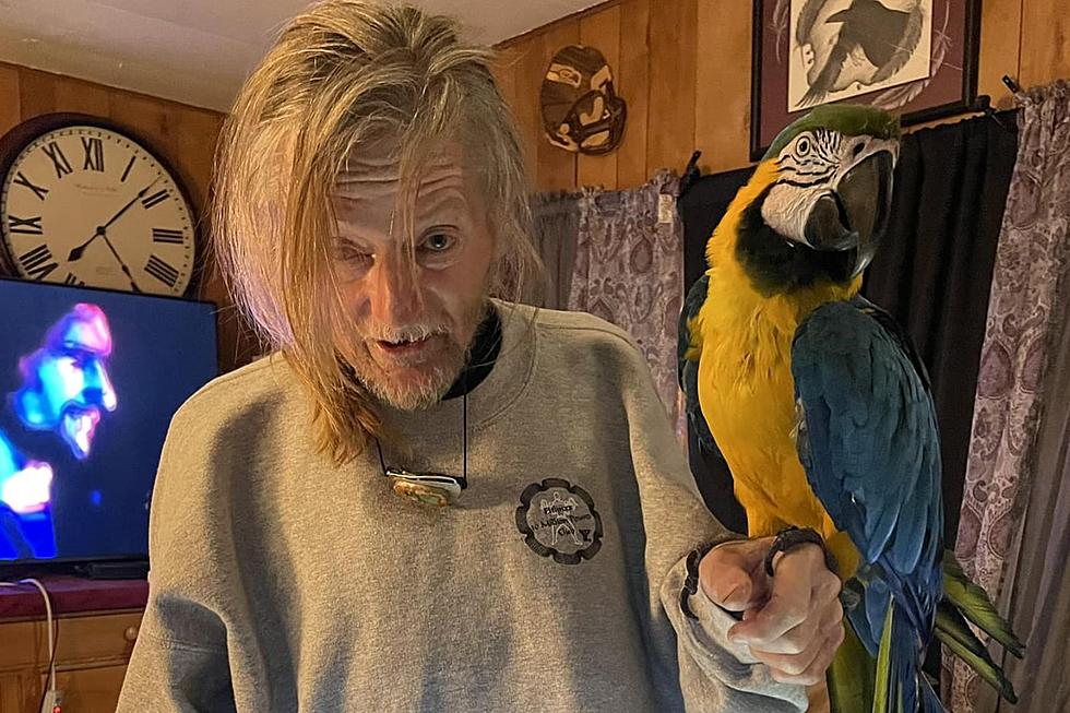 Pasco Man’s Parrot & Best Friend Taken: Hear How They Reunited