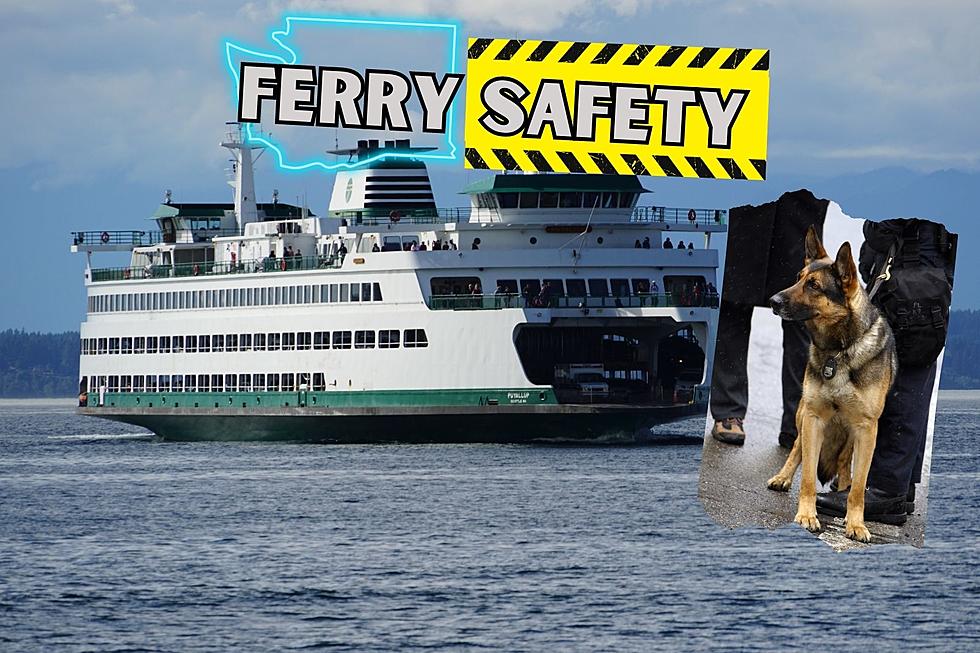 Meet 4 K-9 Officers &#038; How They Keep Washington State Ferries Safe