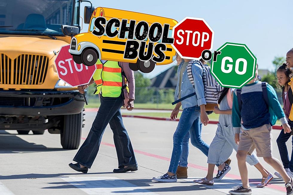 Yes or No? When Washington Drivers Need to Stop for School Buses