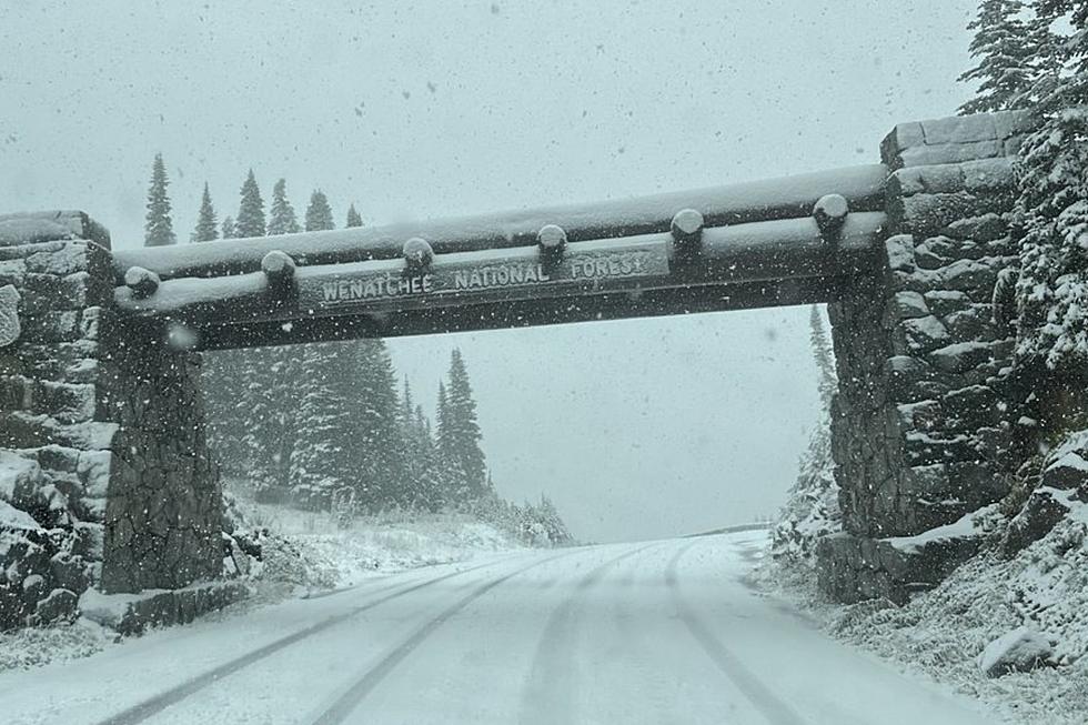 Washington Snowfall: Is Your Vehicle Ready for Winter Driving?