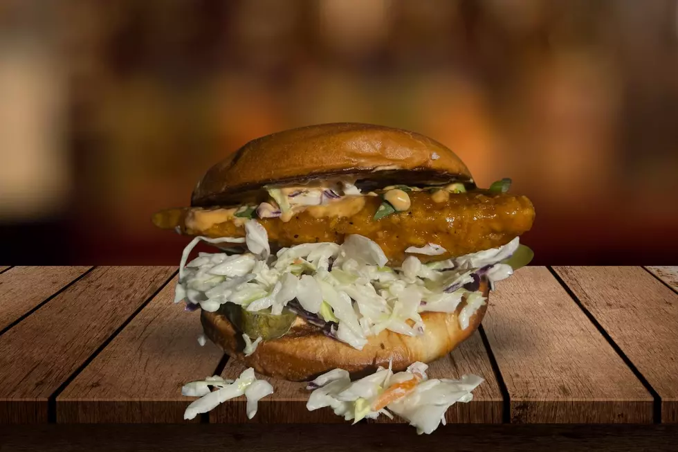 Canva-Getty El Fat Cat Grill