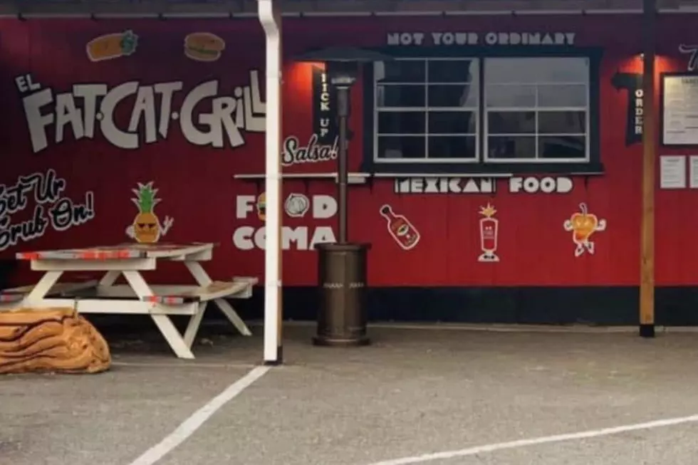 El Fat Cat Grill