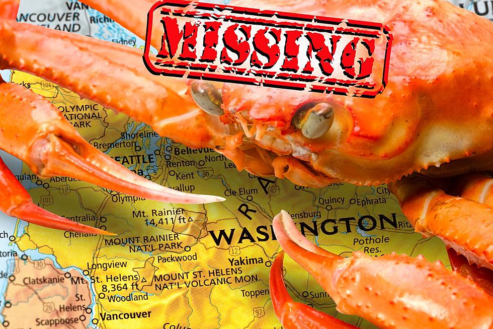 Vanishing Snow Crab Crisis: How it&#8217;s Devastating Washington State