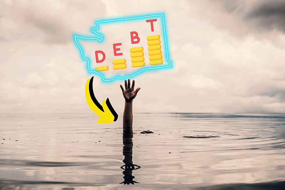 Washington State is Drowning in Debt: Ranked 5th Worst in the USA