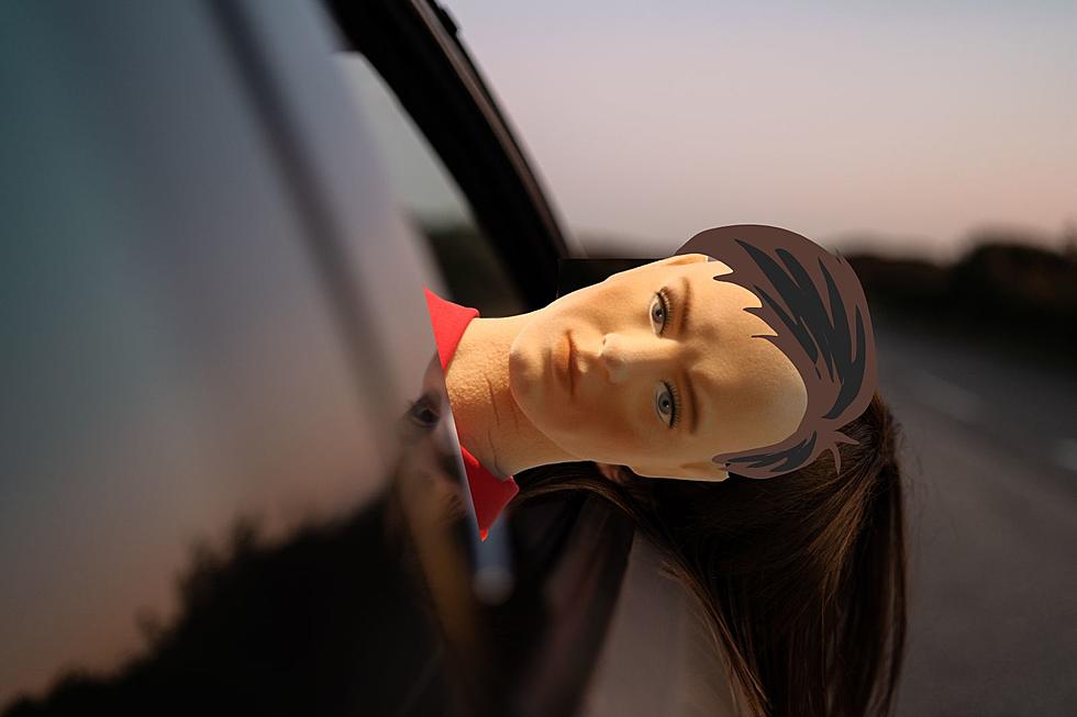 Another Washington Dummy Caught in the HOV Lane & Fined