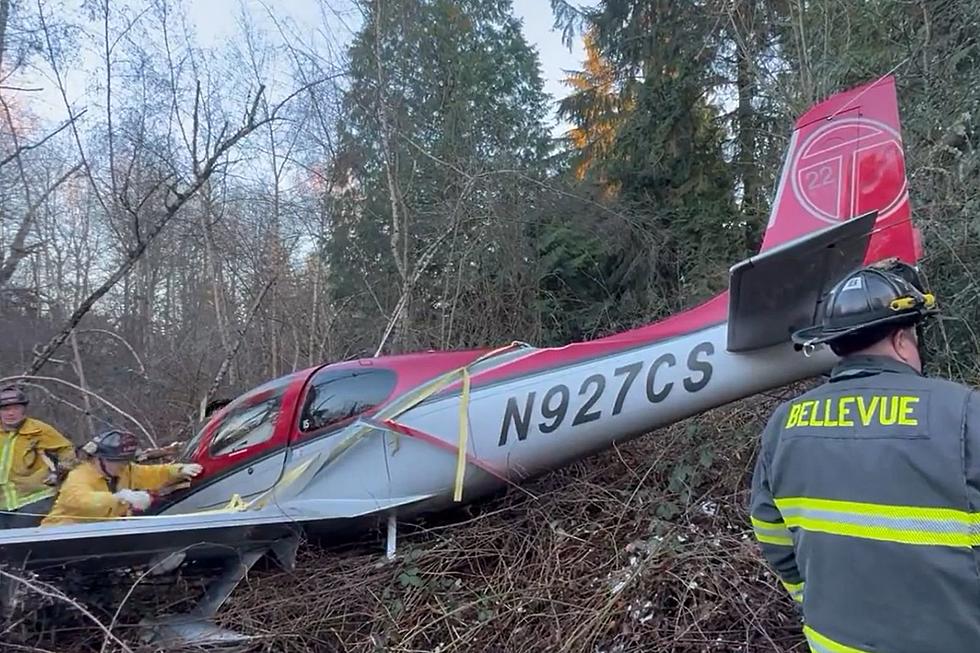 Plane Loses Power, Ejects Parachute, & Crashes Near Bellevue, WA