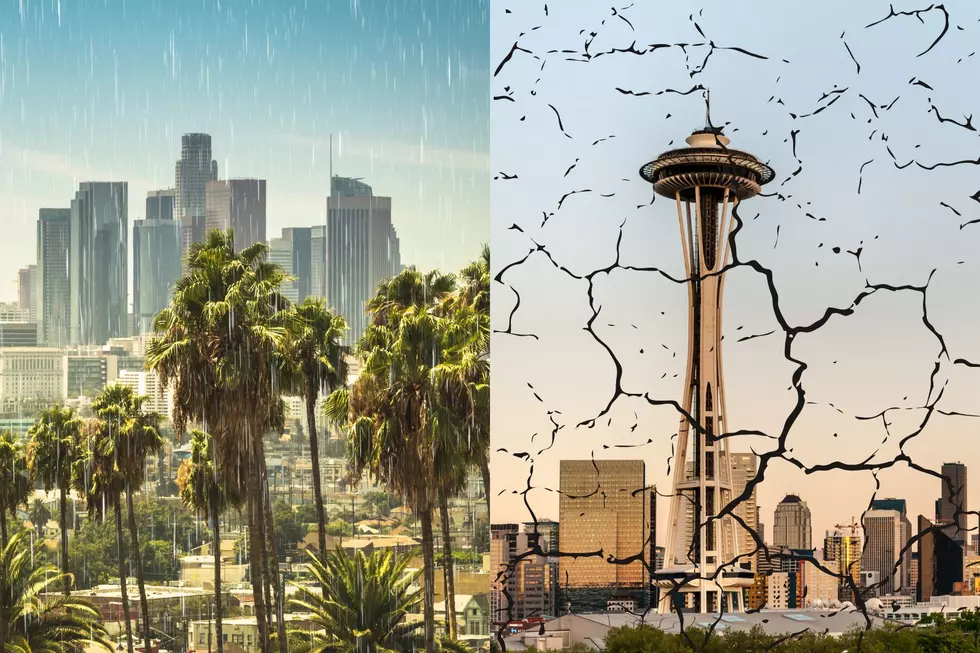 Rainfall 2024: Los Angeles, San Francisco, & Portland Beat Seattle
