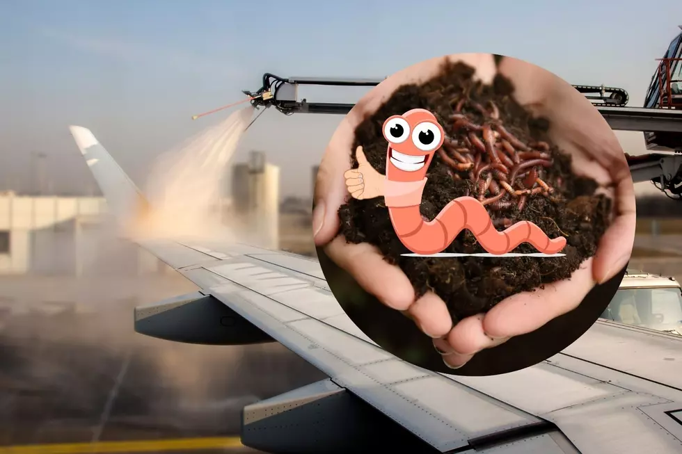 Tri-Cities Airport Using Worms to Solve a Huge Pollution Problem