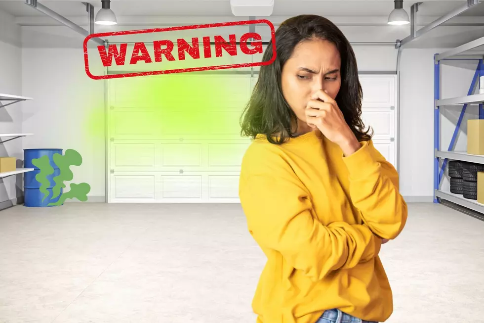 Suddenly Smell Cucumbers in Your Washington Garage? Back Away!