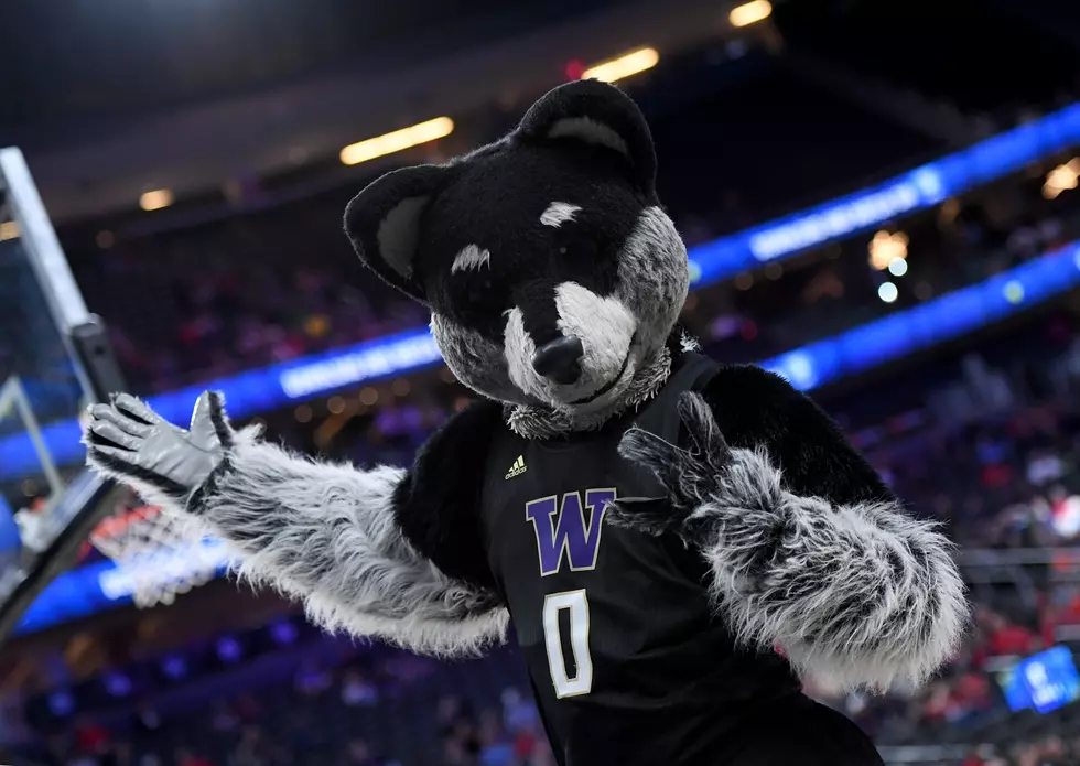 UW’s Harry the Husky: From Student & Fan to Washington Grad