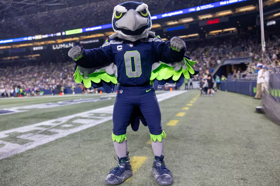 Seattle Seahawks Mascot Crowned “Most Forgettable” in the NFL
