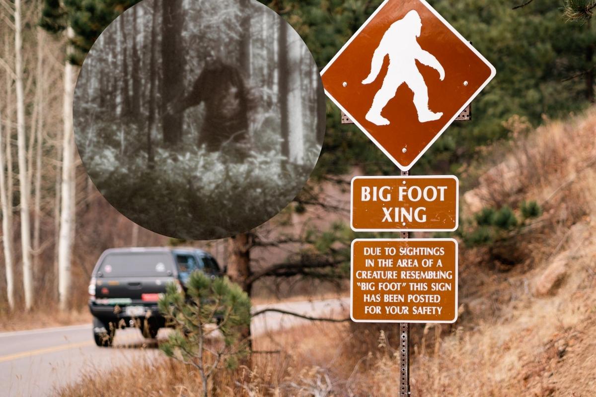 Washington State Patrol Captured Bigfoot on Camera in Snoqualmie