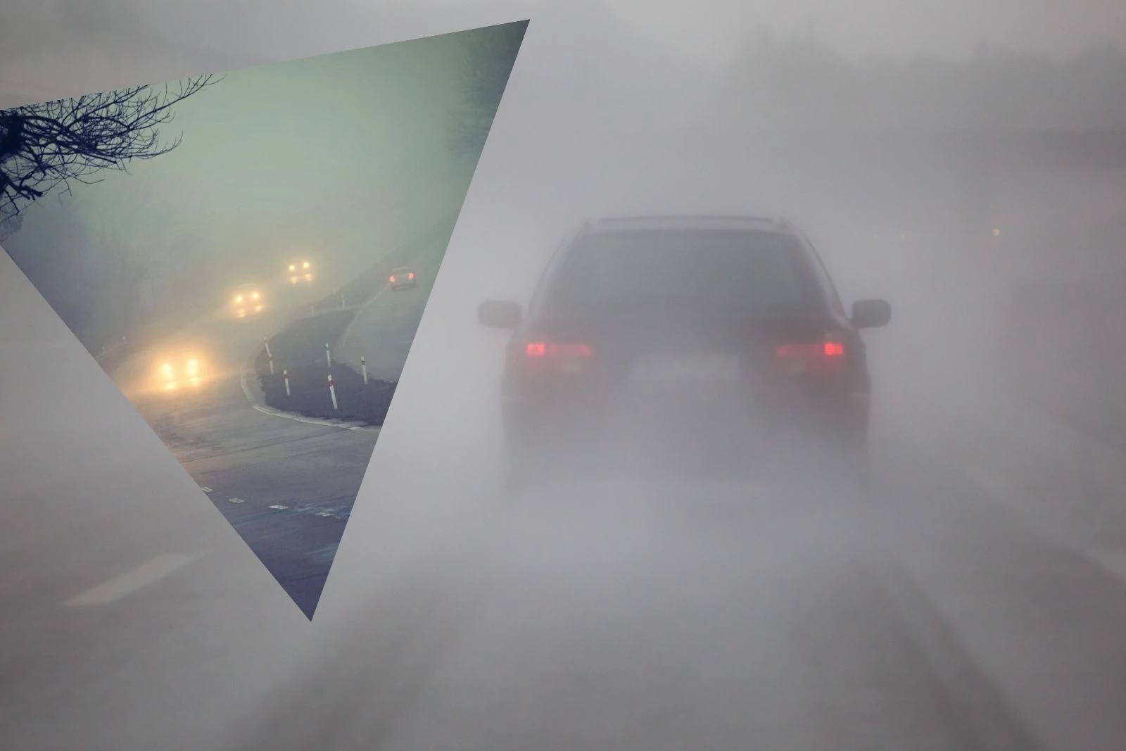 Dense Fog Hit the Washington West Coast This Morning